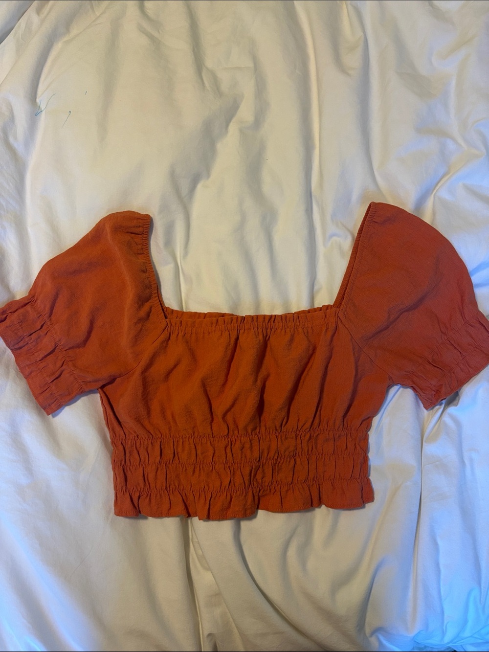 Paper Crane Rust Orange Smocked Puff Sleeve Crop Top